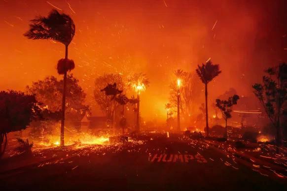 California Wildfires Los Angeles 2025 Blank Meme Template