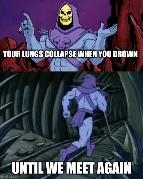 Until we meet again | YOUR LUNGS COLLAPSE WHEN YOU DROWN; UNTIL WE MEET AGAIN | image tagged in skeletor until we meet again,facts,fun fact,random bullshit go | made w/ Imgflip meme maker