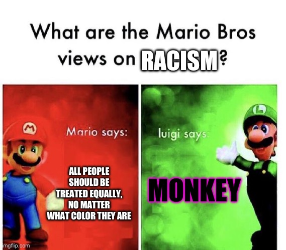 Mario Bros Views | RACISM; MONKEY; ALL PEOPLE SHOULD BE TREATED EQUALLY, NO MATTER WHAT COLOR THEY ARE | image tagged in mario bros views | made w/ Imgflip meme maker