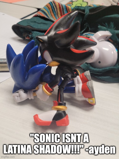 "SONIC ISNT A LATINA SHADOW!!!" -ayden | made w/ Imgflip meme maker