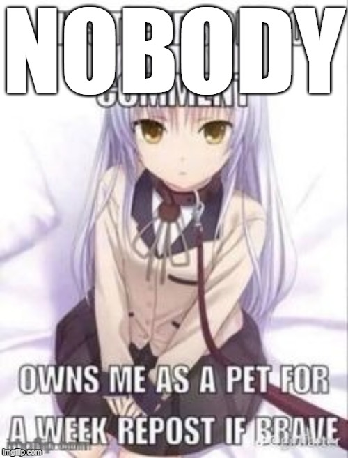 first person to comment owns as a pet for a week | NOBODY | image tagged in first person to comment owns as a pet for a week | made w/ Imgflip meme maker