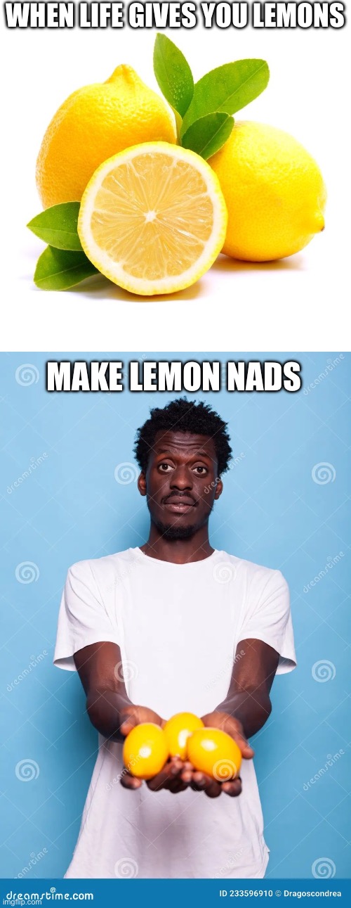 Lemon ‘nads | WHEN LIFE GIVES YOU LEMONS; MAKE LEMON NADS | image tagged in when life gives you lemons,gonads | made w/ Imgflip meme maker