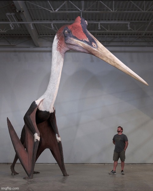 Quetzalcoatlus.mp3 | made w/ Imgflip meme maker