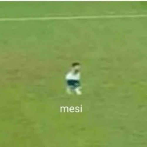 mesi | image tagged in mesi | made w/ Imgflip meme maker