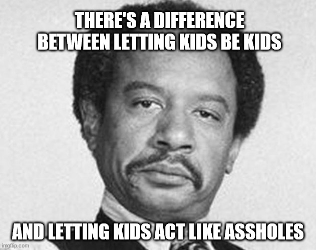 Kids will be kids.  Assholes will be assholes. | THERE'S A DIFFERENCE BETWEEN LETTING KIDS BE KIDS; AND LETTING KIDS ACT LIKE ASSHOLES | image tagged in kids will be kids | made w/ Imgflip meme maker