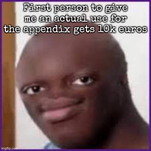 Bald Ksi | First person to give me an actual use for the appendix gets 10k euros | image tagged in bald ksi,msmg | made w/ Imgflip meme maker