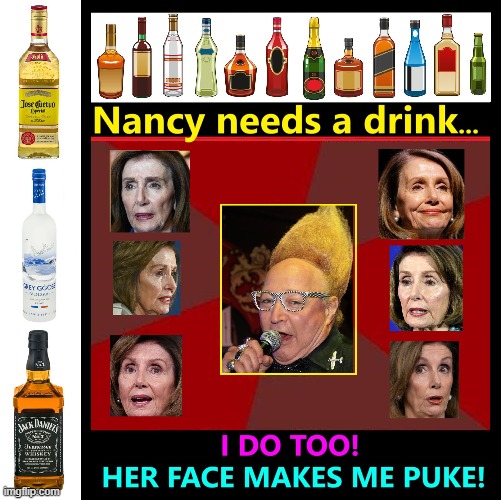 Pick your fav Nasty Nan: alkie, smug, dumb, b*tch, traitor, evil | image tagged in vince vance,nancy pelosi,memes,booze,alcoholic,treason | made w/ Imgflip meme maker