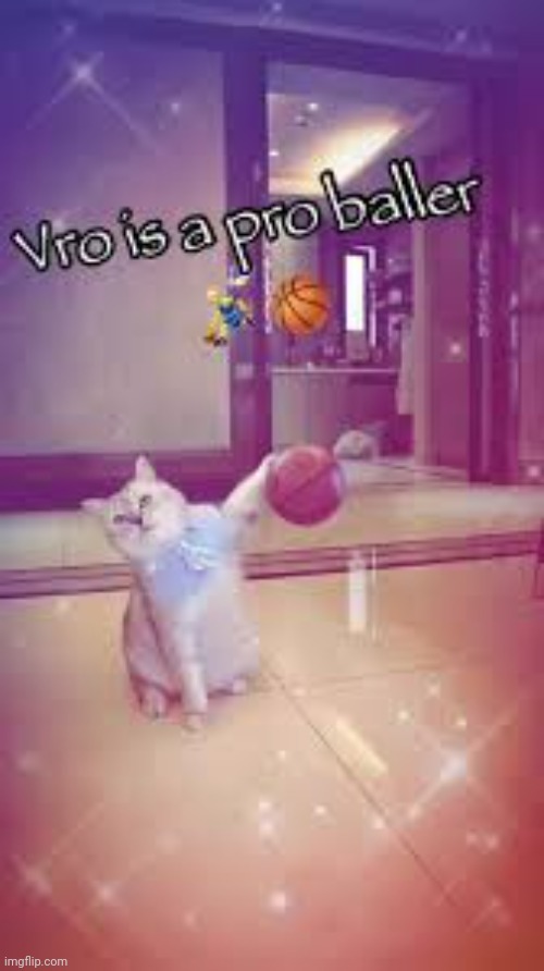 Vro is a pro baller | image tagged in vro is a pro baller | made w/ Imgflip meme maker