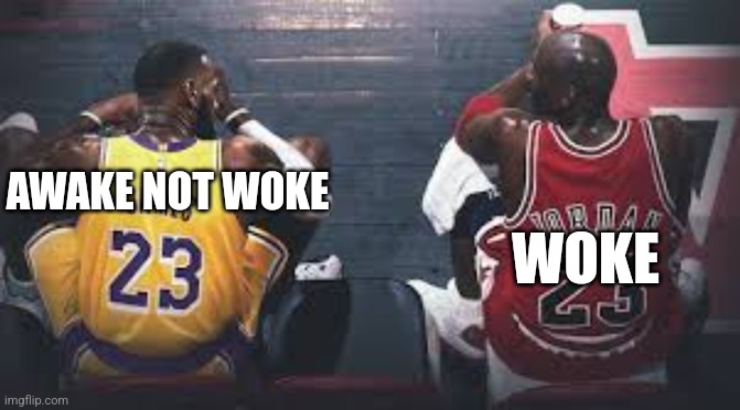 AWAKE NOT WOKE; WOKE | image tagged in woke | made w/ Imgflip meme maker