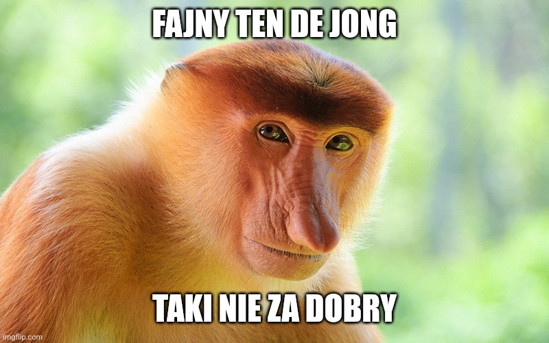 nosacz monkey | FAJNY TEN DE JONG; TAKI NIE ZA DOBRY | image tagged in nosacz monkey | made w/ Imgflip meme maker