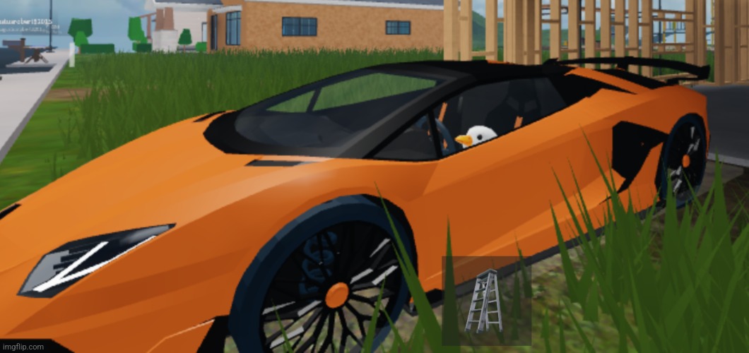 I bought a duck avatar | made w/ Imgflip meme maker