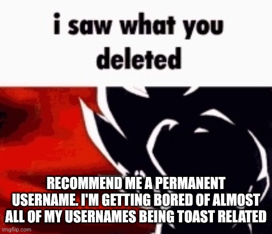 i saw what you deleted | RECOMMEND ME A PERMANENT USERNAME. I'M GETTING BORED OF ALMOST ALL OF MY USERNAMES BEING TOAST RELATED | image tagged in i saw what you deleted | made w/ Imgflip meme maker