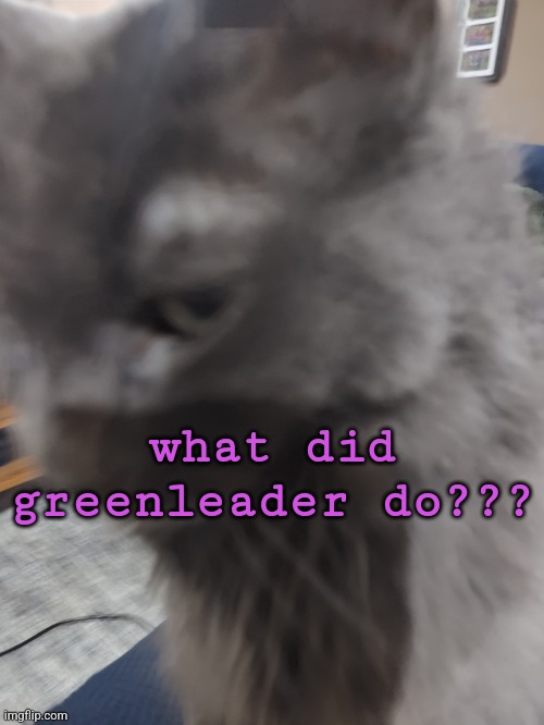 ㅤ | what did greenleader do??? | image tagged in 32's cat | made w/ Imgflip meme maker