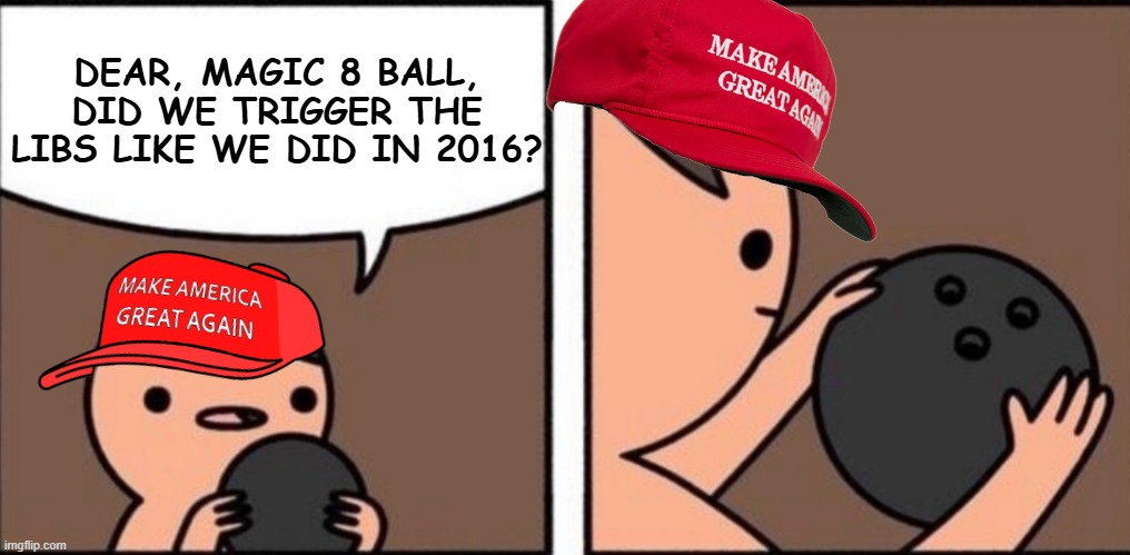 Magic 8 Ball, am I Stupid | DEAR, MAGIC 8 BALL, DID WE TRIGGER THE LIBS LIKE WE DID IN 2016? | image tagged in magic 8 ball am i stupid,maga | made w/ Imgflip meme maker