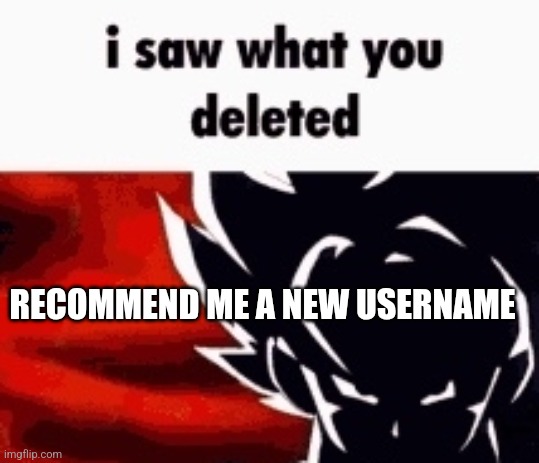 i saw what you deleted | RECOMMEND ME A NEW USERNAME | image tagged in i saw what you deleted | made w/ Imgflip meme maker