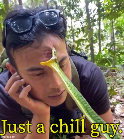 Don't sweat the small stuff. | Just a chill guy. | image tagged in chill guy with snake biting his forehead,sunlit forest,animal attack,meme parody | made w/ Imgflip meme maker