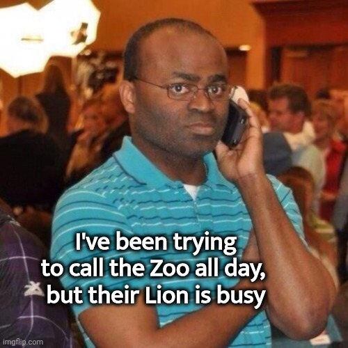 Try not to groan to loud | I've been trying to call the Zoo all day, 
but their Lion is busy | image tagged in calling the police,dad joke,funny animals,i apologize,i had to | made w/ Imgflip meme maker