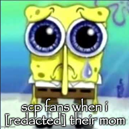 Sad Spongebob | scp fans when i [redacted] their mom | image tagged in sad spongebob | made w/ Imgflip meme maker