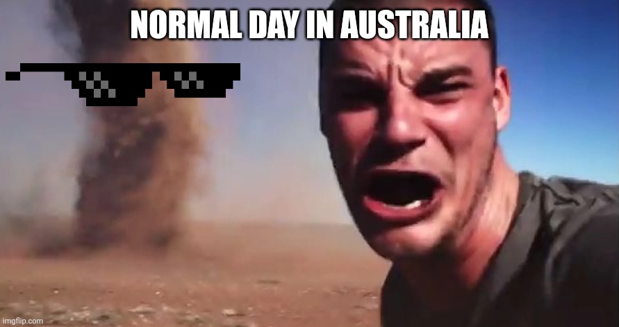 Just wait until you see how big the mosquitoes are lol | NORMAL DAY IN AUSTRALIA | image tagged in here it comes,new south wales,australia,northern territory | made w/ Imgflip meme maker