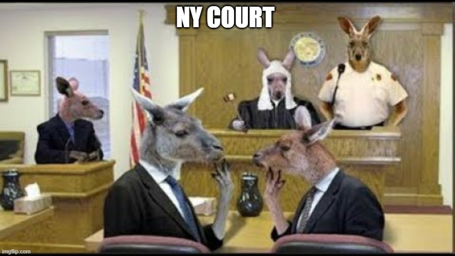 Kangeroo Court | NY COURT | image tagged in kangeroo court | made w/ Imgflip meme maker