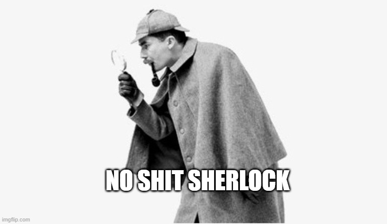 no shit sherlock  | NO SHIT SHERLOCK | image tagged in no shit sherlock | made w/ Imgflip meme maker