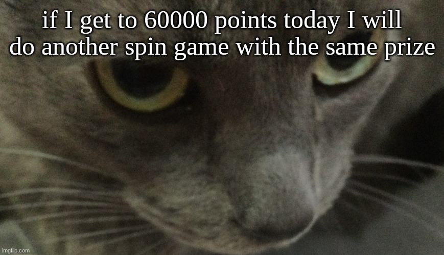 Sweetie | if I get to 60000 points today I will do another spin game with the same prize | image tagged in sweetie | made w/ Imgflip meme maker