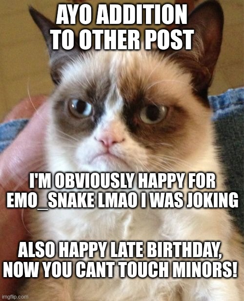 yes I still say "ayo" in the "BIG 25" | AYO ADDITION TO OTHER POST; I'M OBVIOUSLY HAPPY FOR EMO_SNAKE LMAO I WAS JOKING; ALSO HAPPY LATE BIRTHDAY, NOW YOU CANT TOUCH MINORS! | made w/ Imgflip meme maker