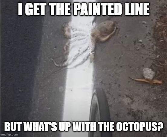 Octopus | I GET THE PAINTED LINE; BUT WHAT'S UP WITH THE OCTOPUS? | image tagged in you had one job | made w/ Imgflip meme maker