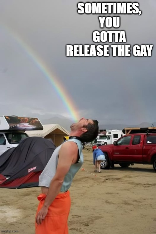 Taste the Rainbow | SOMETIMES, YOU GOTTA RELEASE THE GAY | image tagged in rainbow,meme,funny | made w/ Imgflip meme maker