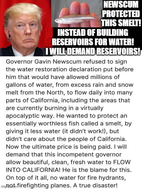 Newscum protected this smelt! Trump will build reservoirs | NEWSCUM PROTECTED THIS SMELT! INSTEAD OF BUILDING RESERVOIRS FOR WATER! I WILL DEMAND RESERVOIRS! | image tagged in sam elliott special kind of stupid,morons,idiots,stupid liberals,trump laughing | made w/ Imgflip meme maker