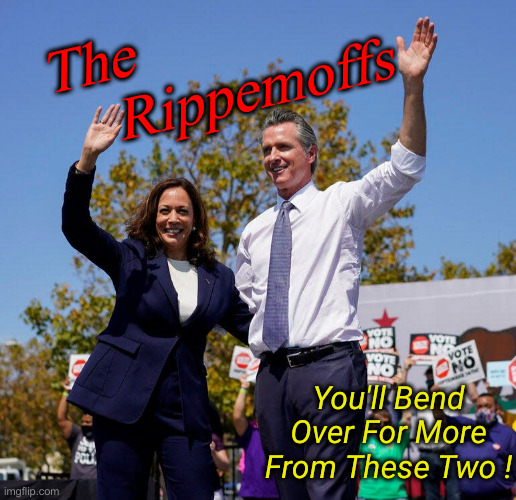 We Aren't Real Oligarchs But We Play Some On TV | The 
                     Rippemoffs; You'll Bend Over For More From These Two ! | image tagged in kamal toe and newscum,political meme,politics,funny memes,funny,commies | made w/ Imgflip meme maker