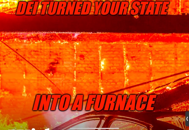 Furnace | DEI TURNED YOUR STATE; INTO A FURNACE | image tagged in burning,burn,los angeles,bad memes,political correctness,political memes | made w/ Imgflip meme maker