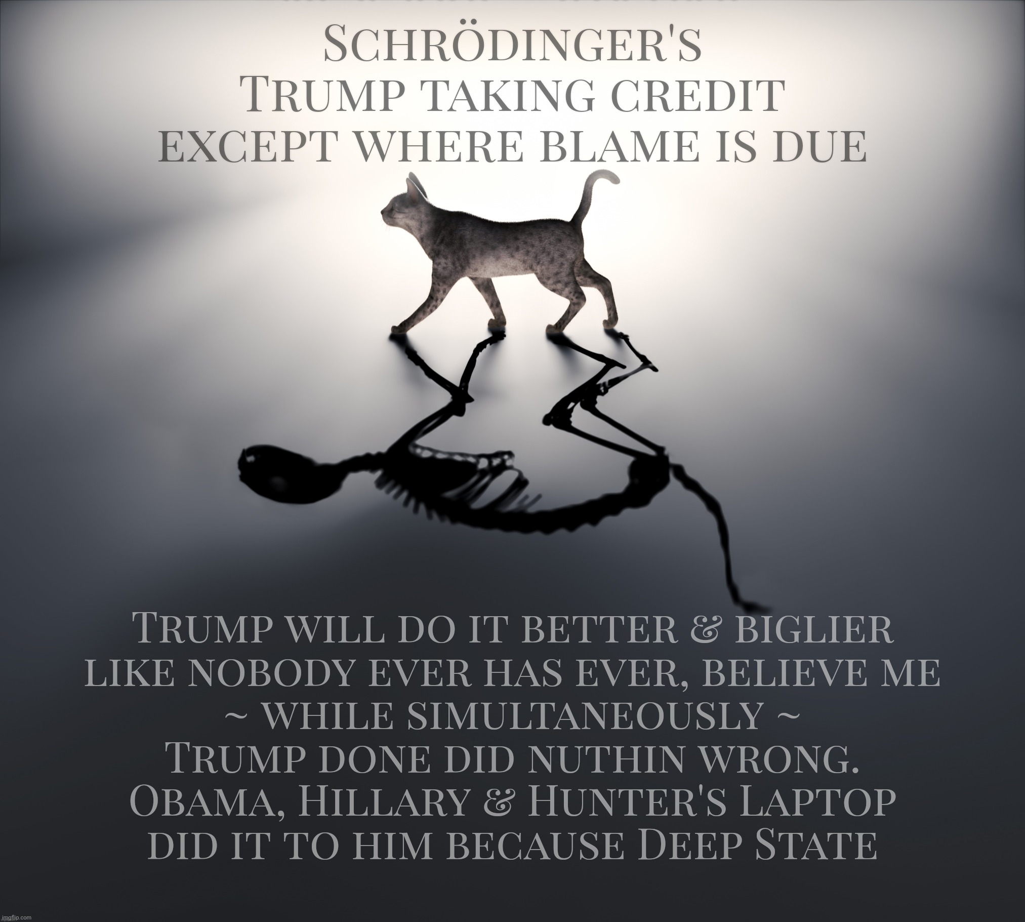 Schrodinger's Cat | Schrödinger's Trump taking credit except where blame is due; Trump will do it better & biglier
like nobody ever has ever, believe me
~ while simultaneously ~
Trump done did nuthin wrong.
Obama, Hillary & Hunter's Laptop
did it to him because Deep State | image tagged in schrodinger's cat | made w/ Imgflip meme maker