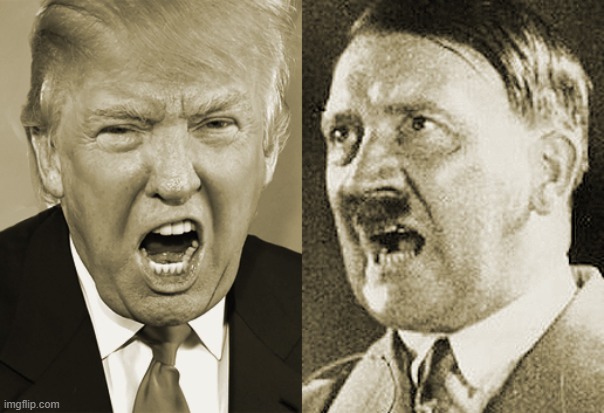 Trump Hitler  | image tagged in trump hitler | made w/ Imgflip meme maker