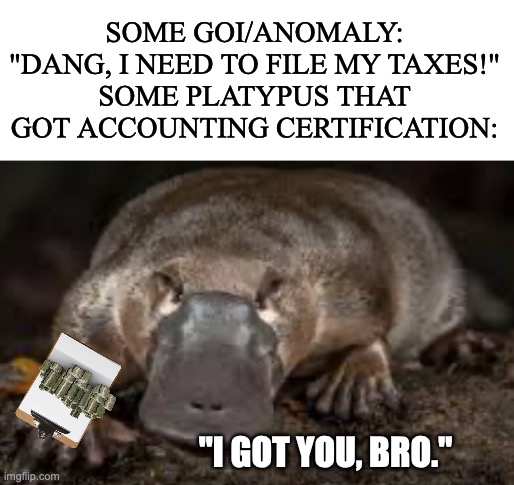 SCP 8042. It's too good, trust me. | SOME GOI/ANOMALY: "DANG, I NEED TO FILE MY TAXES!"
SOME PLATYPUS THAT GOT ACCOUNTING CERTIFICATION:; "I GOT YOU, BRO." | image tagged in blank white template,scp meme,platypus,perry the platypus,not really,taxes | made w/ Imgflip meme maker