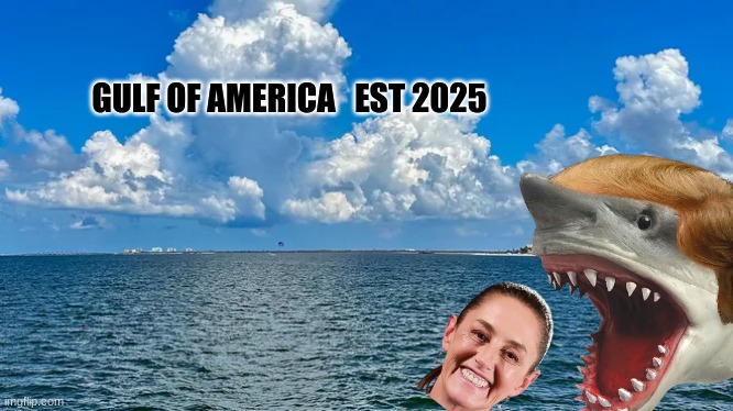 Gulf of America meme | GULF OF AMERICA   EST 2025 | image tagged in memes,mexico wall,mexico,america,trump,maga | made w/ Imgflip meme maker