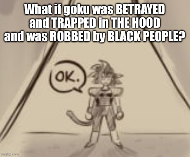 Bardock "OK." | What if goku was BETRAYED and TRAPPED in THE HOOD and was ROBBED by BLACK PEOPLE? | image tagged in bardock ok | made w/ Imgflip meme maker