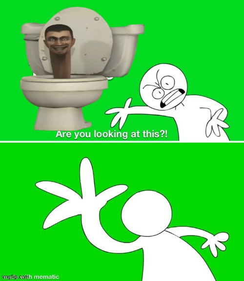 NO MORE SKIBIDI TOILET | image tagged in are you looking at this,memes,sr pelo,skibidi toilet sucks | made w/ Imgflip meme maker