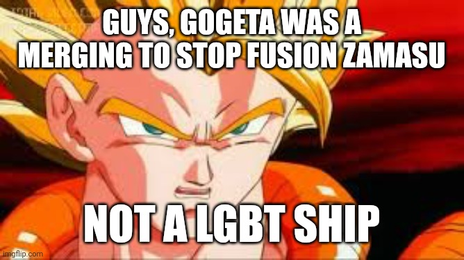 Lol | GUYS, GOGETA WAS A MERGING TO STOP FUSION ZAMASU; NOT A LGBT SHIP | image tagged in super gogeta | made w/ Imgflip meme maker