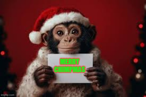 memes by Brad - The chimp says "Merry Chimpmas". - humor - | MERRY CHIMPMAS | image tagged in funny,fun,chimpanzee,chimp,merry christmas,monkey | made w/ Imgflip meme maker