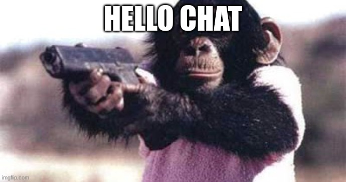 monkey crashout | HELLO CHAT | image tagged in monkey crashout | made w/ Imgflip meme maker