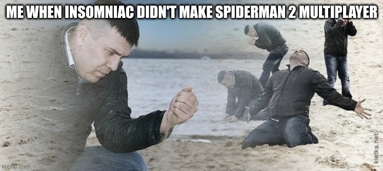 NOOOOOOOOOOOOOOOOO ( I know I'm late) | ME WHEN INSOMNIAC DIDN'T MAKE SPIDERMAN 2 MULTIPLAYER | image tagged in sad guy beach | made w/ Imgflip meme maker