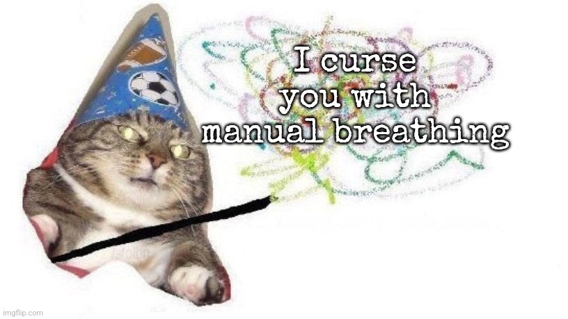 Wizard Cat | I curse you with manual breathing | image tagged in wizard cat | made w/ Imgflip meme maker