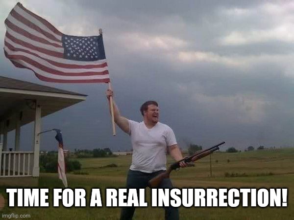 American flag shotgun guy | TIME FOR A REAL INSURRECTION! | image tagged in american flag shotgun guy | made w/ Imgflip meme maker