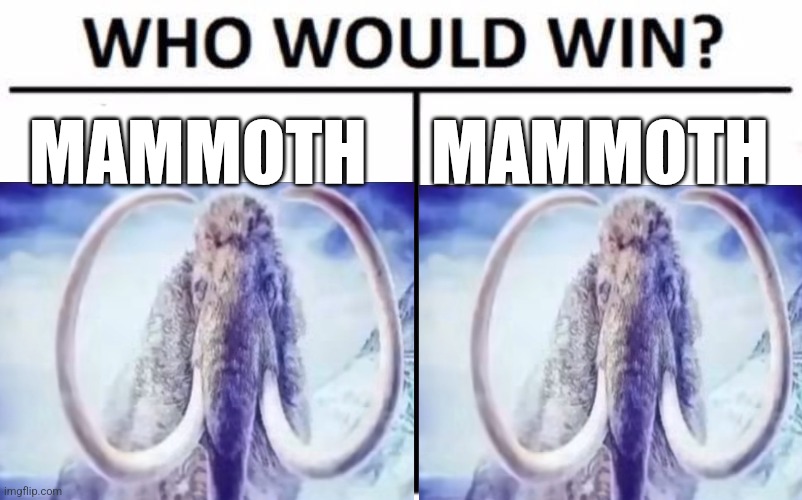 Who Would Win? | MAMMOTH; MAMMOTH | image tagged in memes,who would win | made w/ Imgflip meme maker