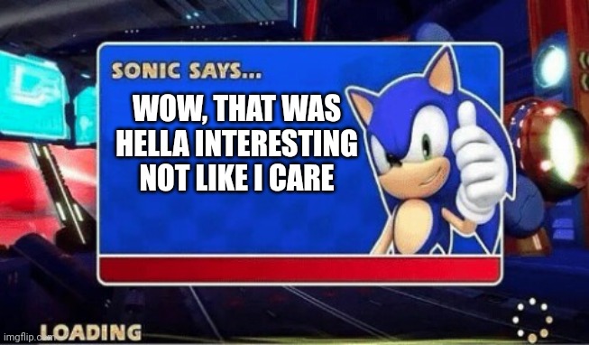 Sonic Says | WOW, THAT WAS HELLA INTERESTING NOT LIKE I CARE | image tagged in sonic says | made w/ Imgflip meme maker