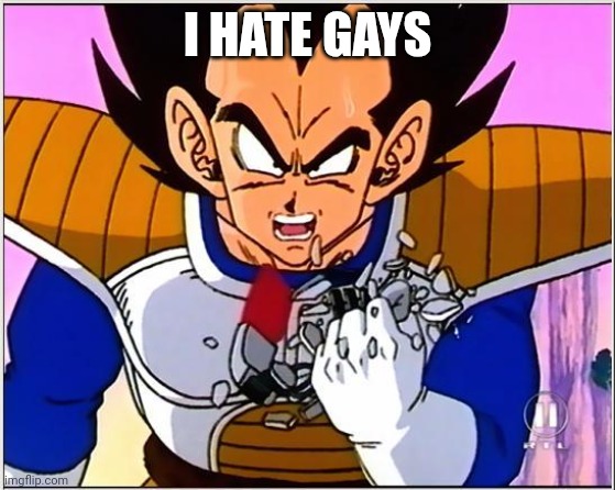 Vegeta over 9000 | I HATE GAYS | image tagged in vegeta over 9000 | made w/ Imgflip meme maker