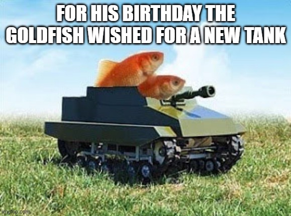 memes by Brad - My goldfish wanted a new tank for his birthday. | FOR HIS BIRTHDAY THE GOLDFISH WISHED FOR A NEW TANK | image tagged in funny,fun,goldfish,play on words,tank,humor | made w/ Imgflip meme maker