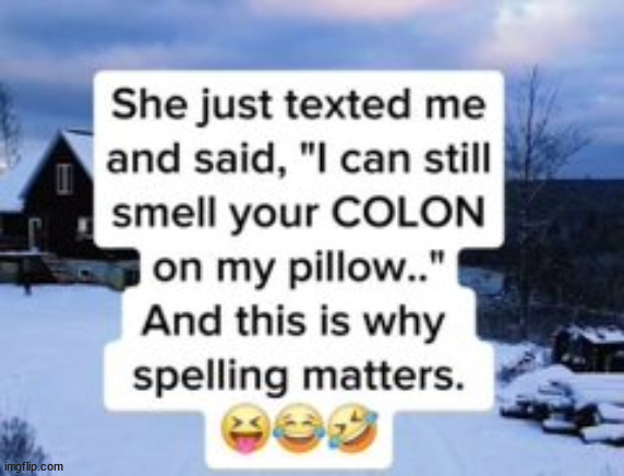 Spelling matters | image tagged in eyeroll,spelling matters | made w/ Imgflip meme maker