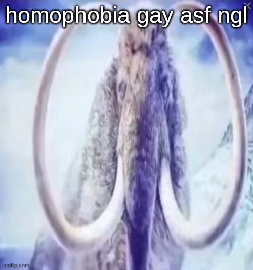 let it be!!! just support people its not that hard!!! | homophobia gay asf ngl | made w/ Imgflip meme maker